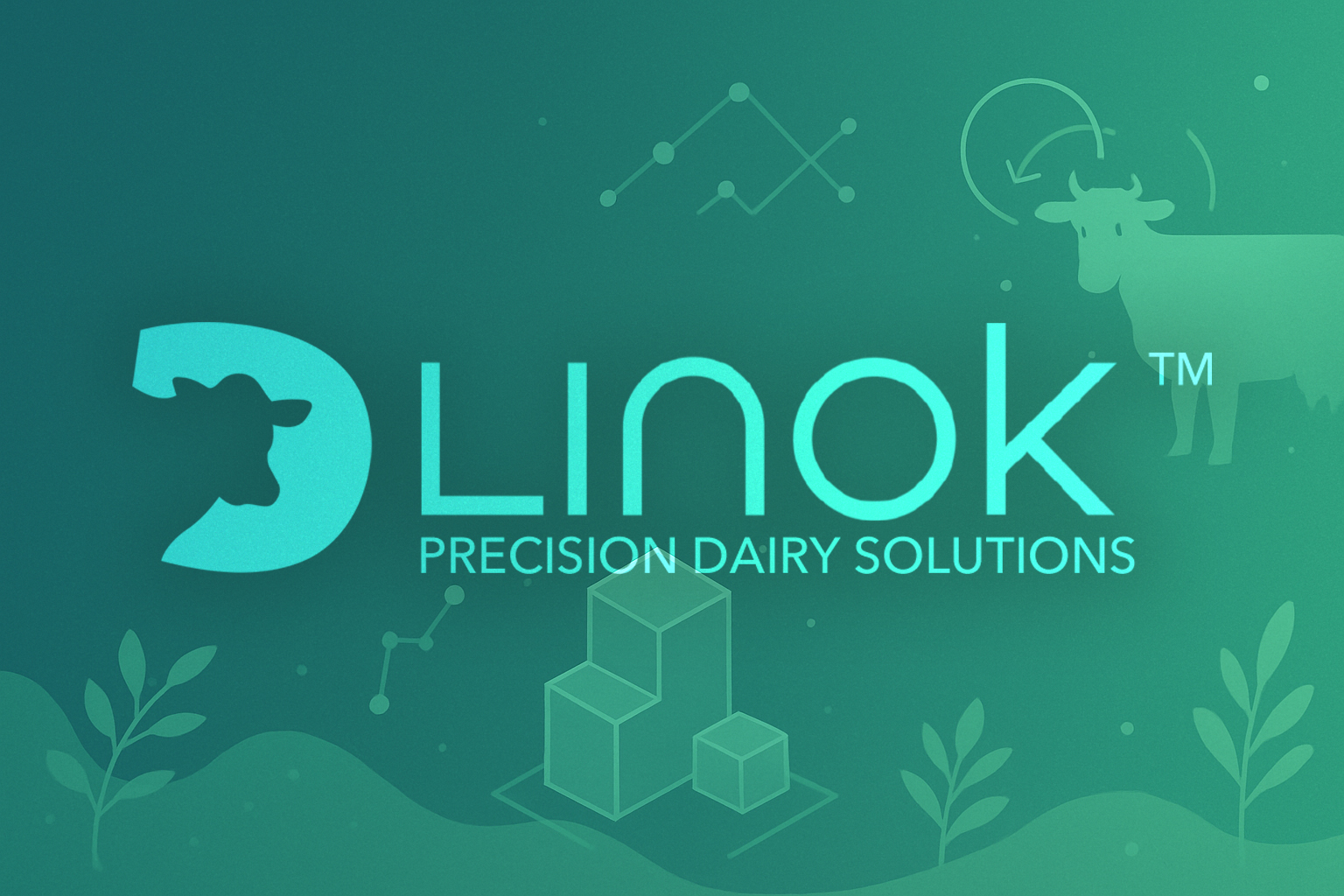 Momentum at Linok: Closing Our Seed Round and Welcoming Two Key Team Members